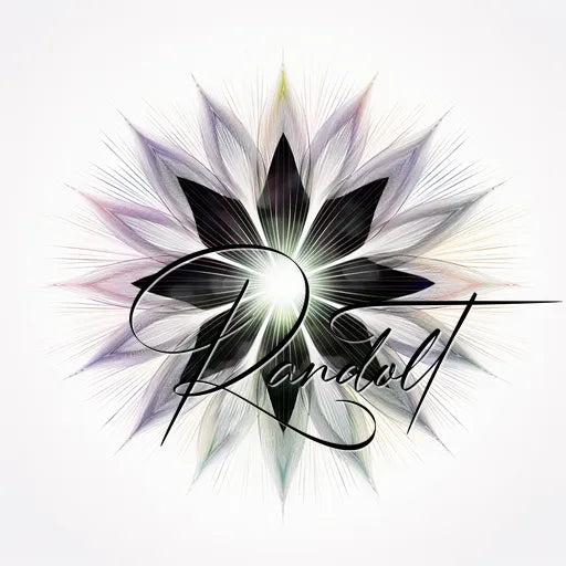 Abstract starburst design with a handwritten script overlay on a white background.