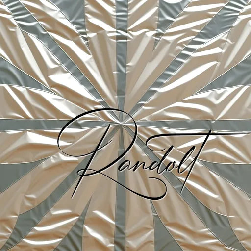 Metallic geometric pattern with radial lines in silver and gold tones, featuring the word 'Randvolt' in elegant script.