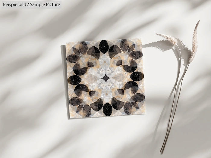 Abstract geometric mandala artwork with black and beige patterns on a white surface, accompanied by shadowed grasses.