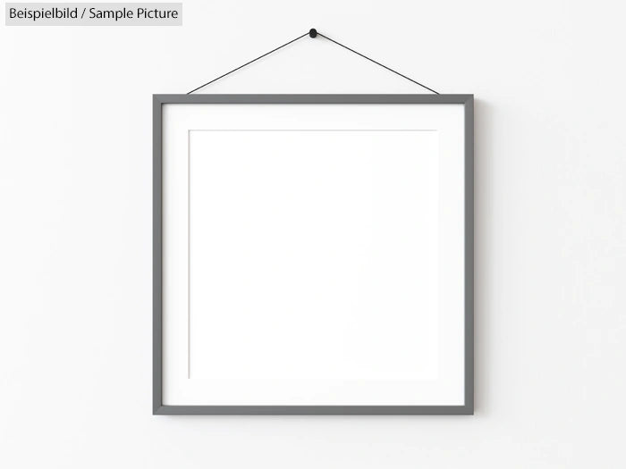 Blank picture frame with white background hanging on a wall.