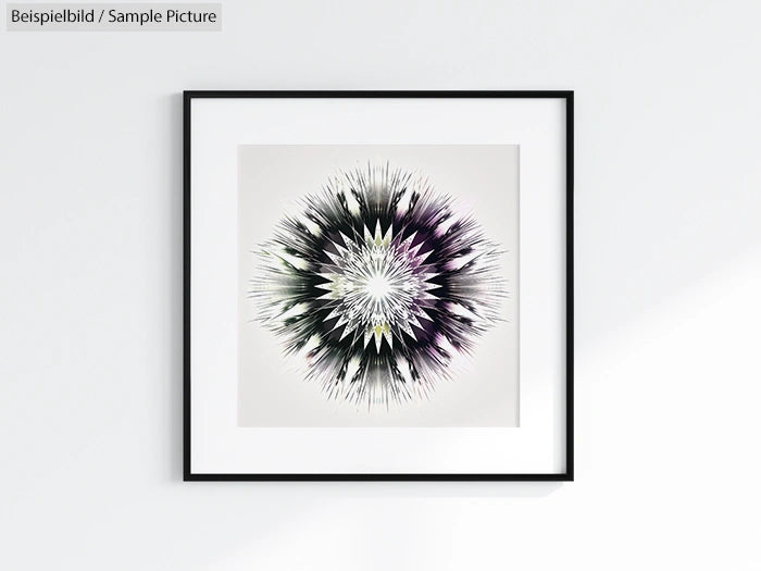 Framed abstract artwork featuring a radial pattern with sharp, dark spikes against a light background.