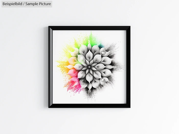 Framed artwork with black and white flower center, surrounded by vibrant splashes of color in a dynamic spray pattern.