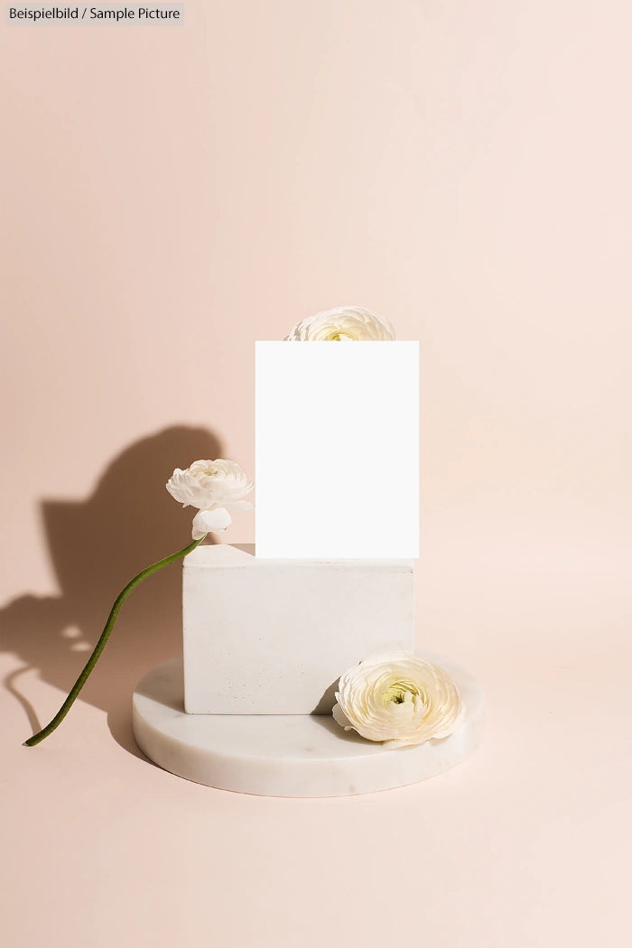 Minimalist floral display with white ranunculus flowers against a light cream background.