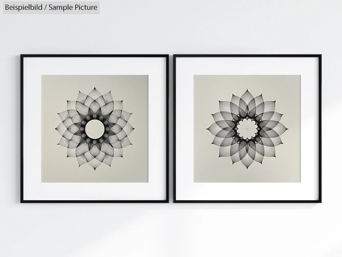 Two framed black and white geometric floral illustrations on a white wall.