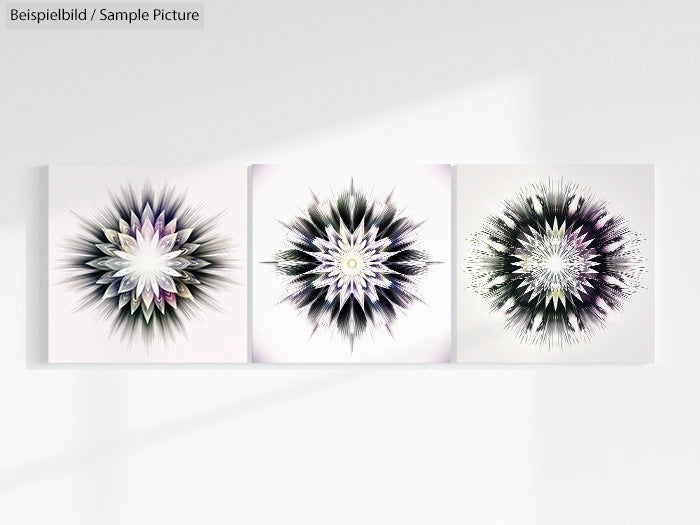 Three abstract floral paintings with geometric, starburst patterns in grayscale hues, displayed on a white wall.